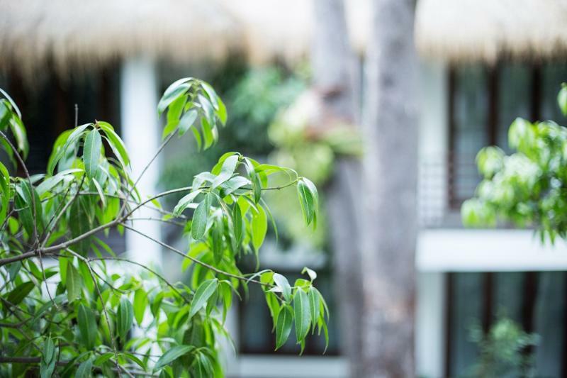 Rokkhak River Resort Siem Reap Esterno foto