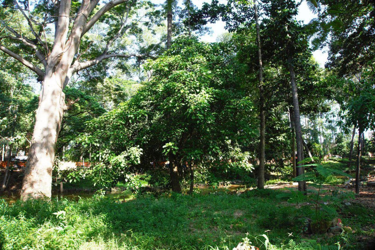 Rokkhak River Resort Siem Reap Esterno foto